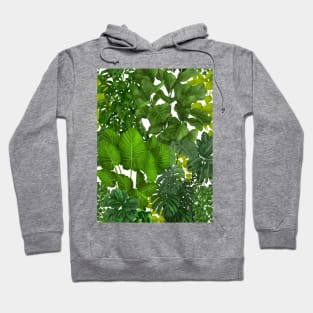 Urban Jungle 1 Hoodie